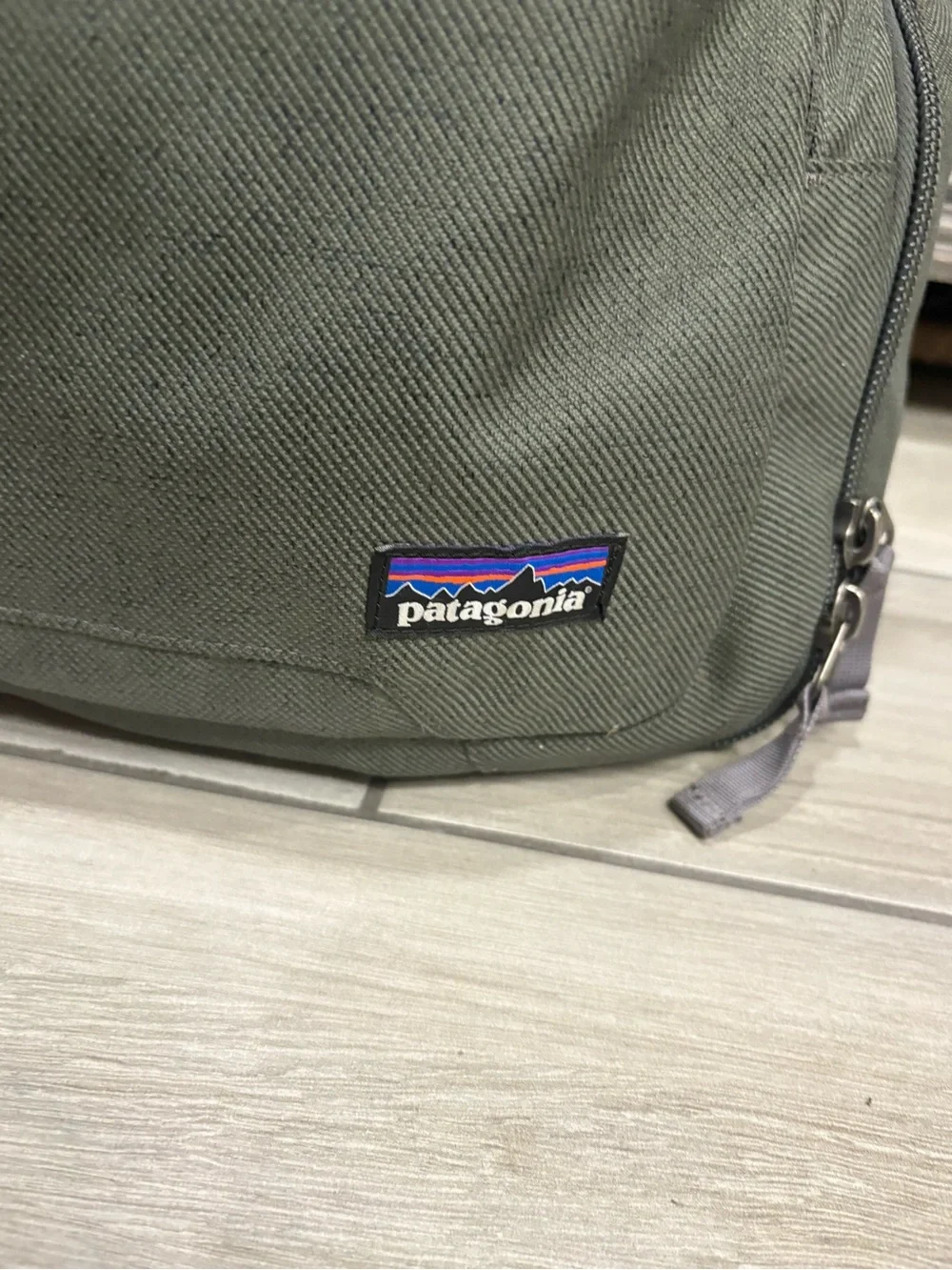 Patagonia Green Travel Backpack - Durable Everyday Pack
